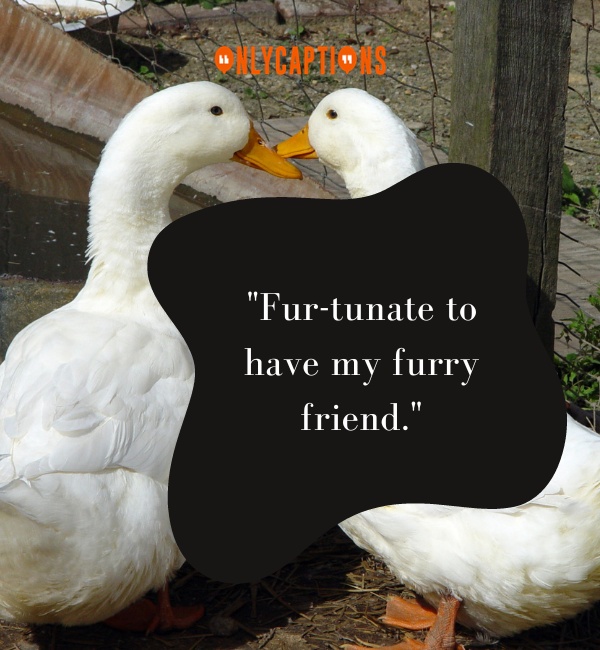 Lovely Animal Quotes 5-OnlyCaptions