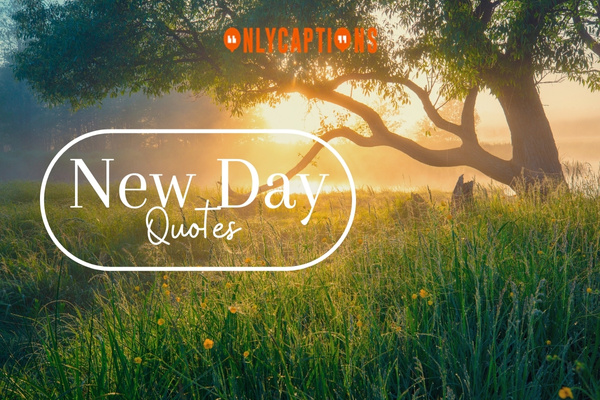 New Day Quotes-OnlyCaptions