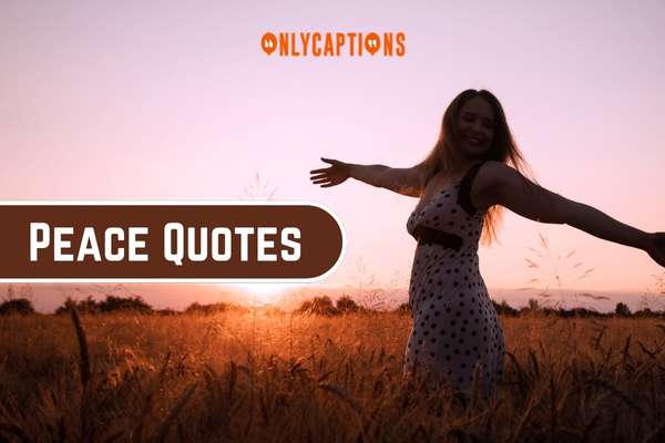 Peace Quotes (2024)