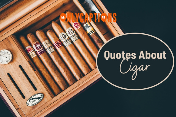 Quotes About Cigar 1-OnlyCaptions