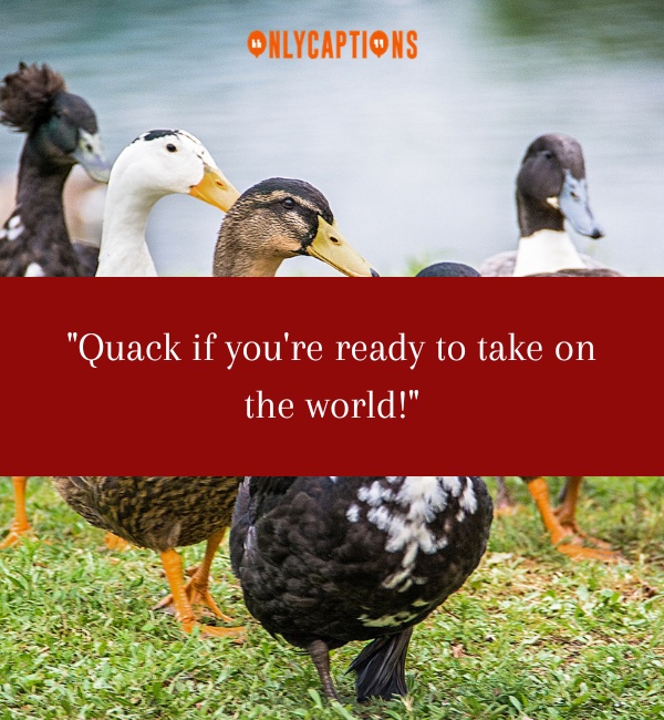Quotes About Ducks 2-OnlyCaptions