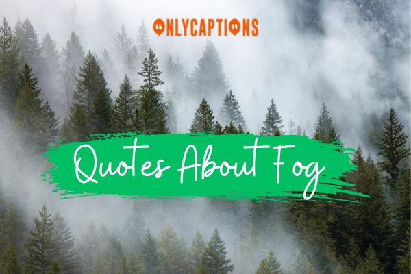 Quotes About Fog (2024)
