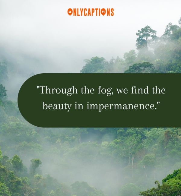 Quotes About Fog-OnlyCaptions