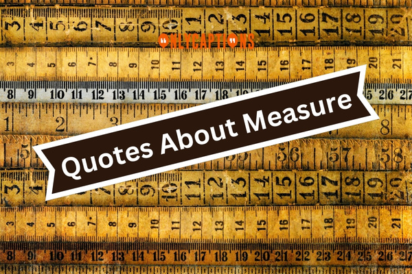 Quotes About Measure (2024)