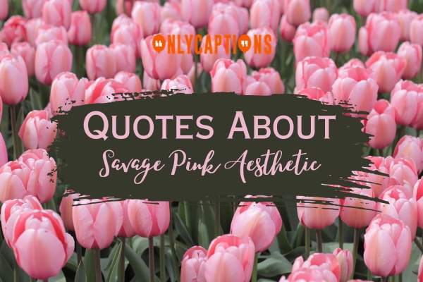 Quotes About Savage Pink Aesthetic 1-OnlyCaptions