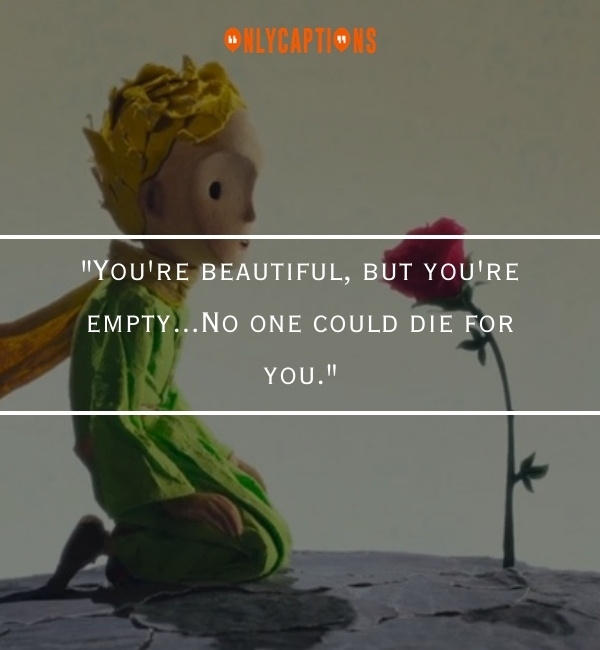 Quotes About The Little Prince 2-OnlyCaptions