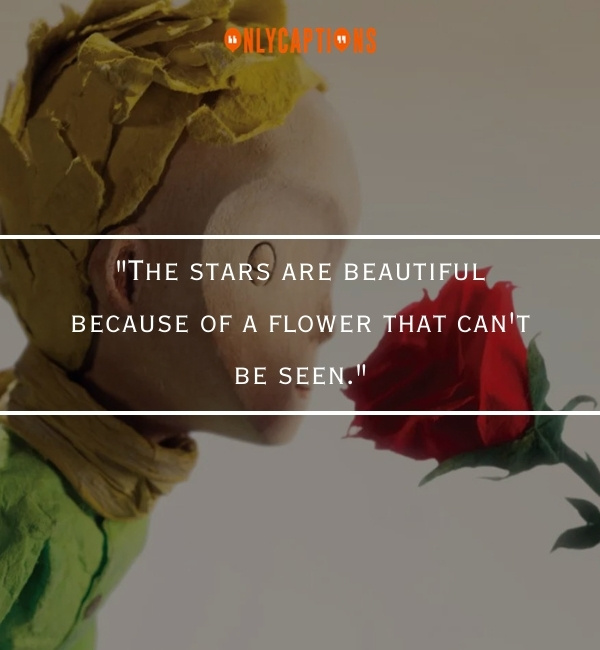 Quotes About The Little Prince 3-OnlyCaptions