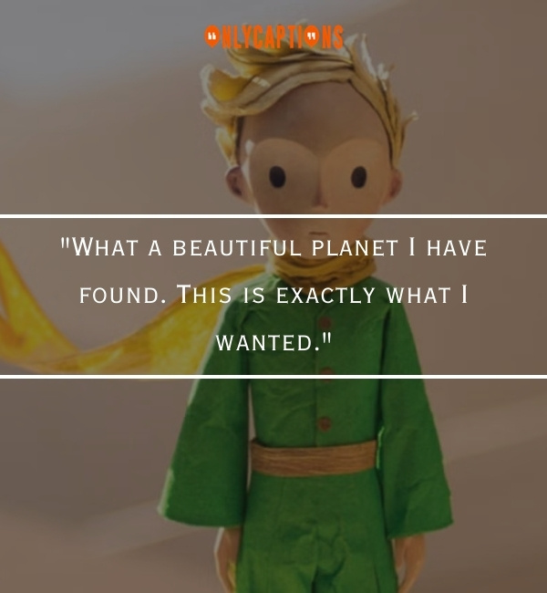 Quotes About The Little Prince-OnlyCaptions