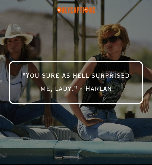 Quotes About Thelma Louise 2-OnlyCaptions