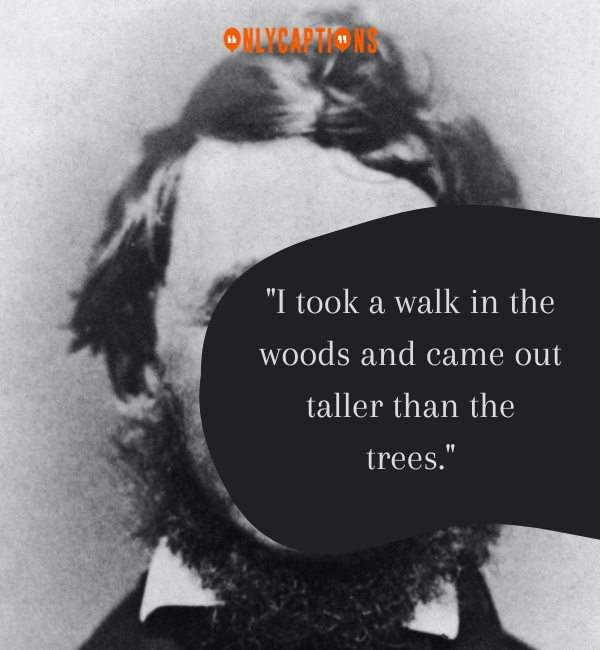 Quotes By Henry David Thoreau 2-OnlyCaptions