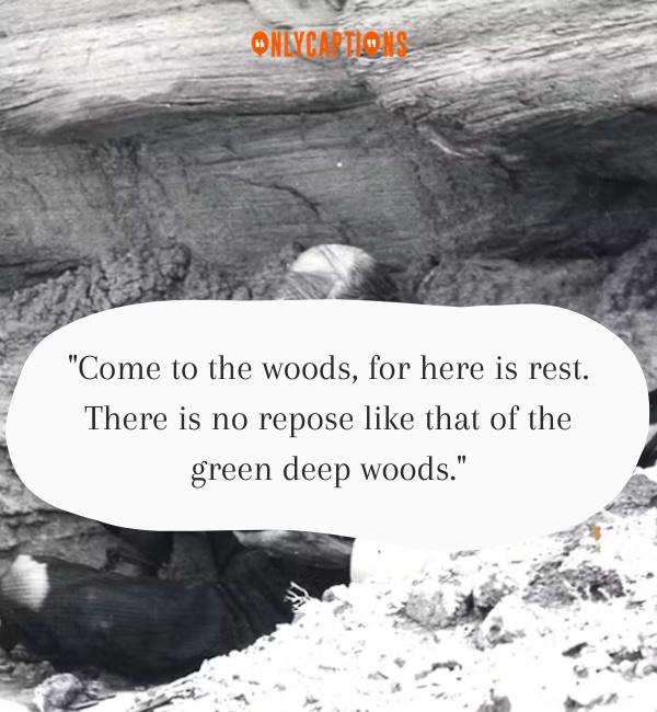 Quotes By John Muir 2-OnlyCaptions