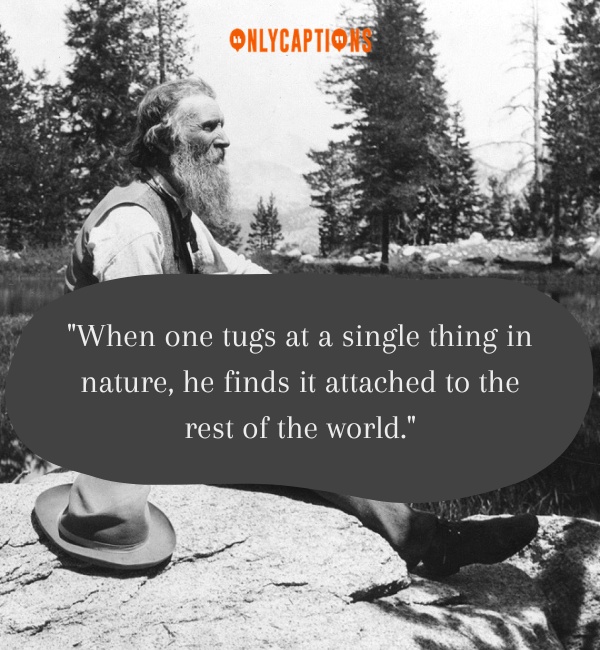Quotes By John Muir-OnlyCaptions