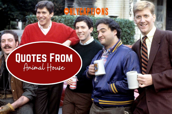 Quotes From Animal House 1-OnlyCaptions