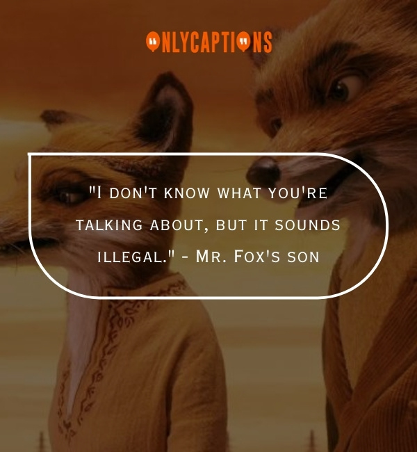 Quotes From Fantastic Mr. Fox 2-OnlyCaptions