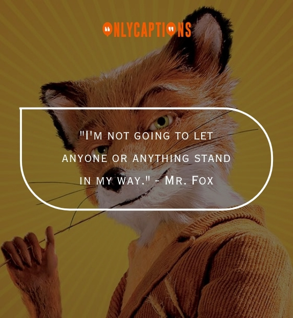 Quotes From Fantastic Mr. Fox 3-OnlyCaptions