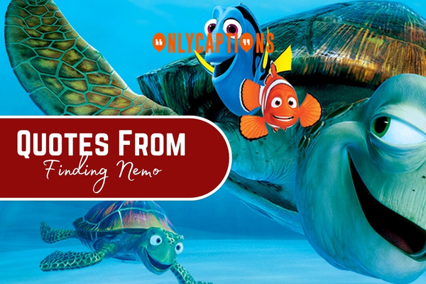 Quotes From Finding Nemo 1-OnlyCaptions
