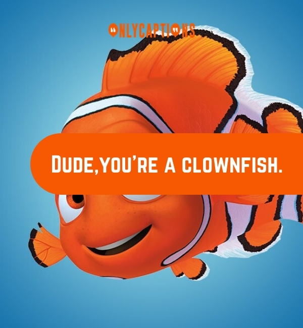 Quotes From Finding Nemo-OnlyCaptions