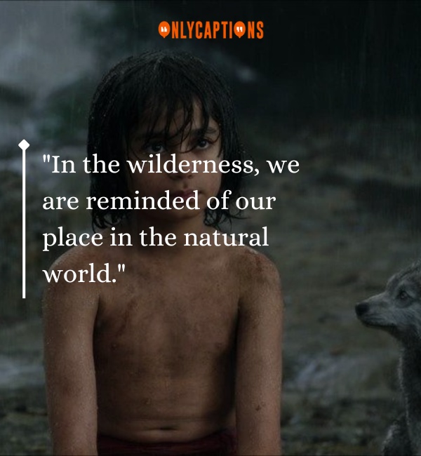 Quotes From Jungle Movie-OnlyCaptions