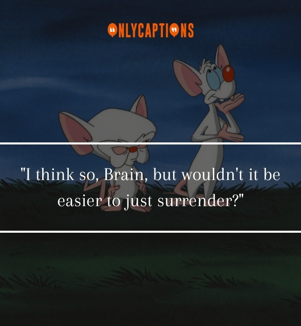 Quotes From Pinky And The Brain 2-OnlyCaptions