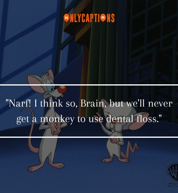 Quotes From Pinky And The Brain 3-OnlyCaptions