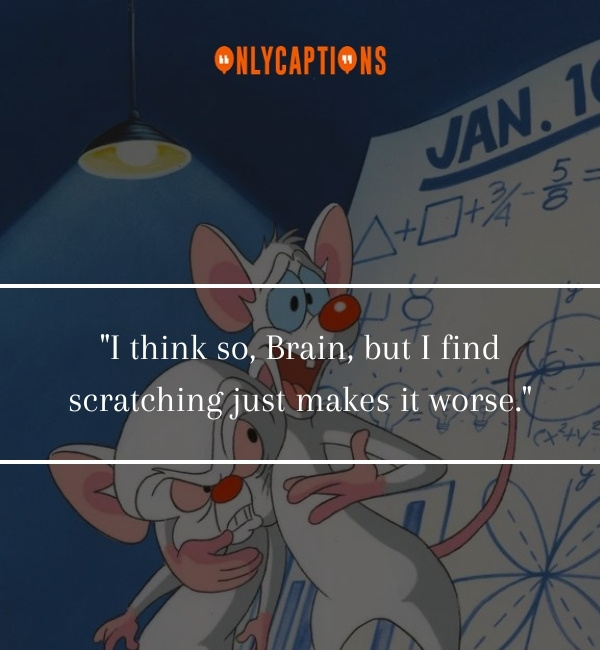 Quotes From Pinky And The Brain-OnlyCaptions