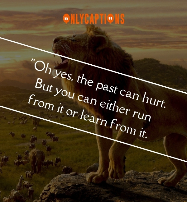 Quotes From The Lion King Movie 2-OnlyCaptions
