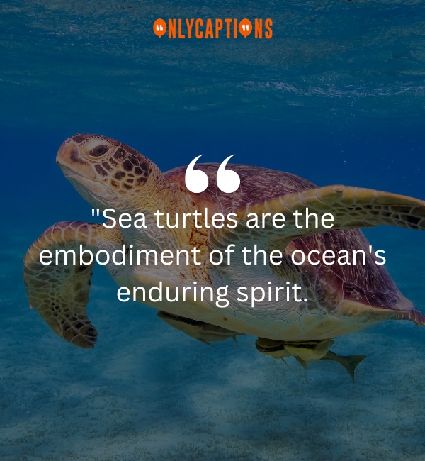 Quotes On Sea Turtles-OnlyCaptions
