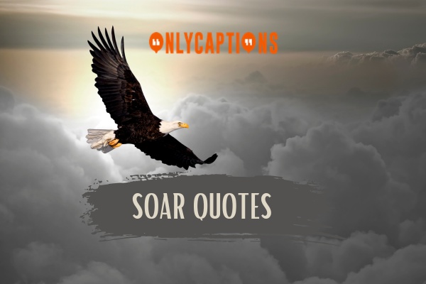 Soar Quotes 1-OnlyCaptions