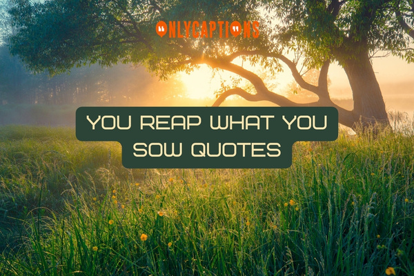 You Reap What You Sow Quotes 1-OnlyCaptions