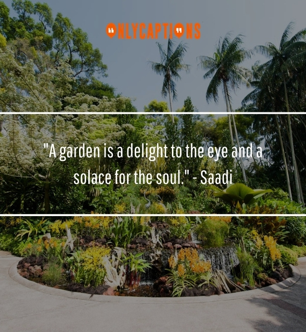 Botanic Garden Quotes 1-OnlyCaptions