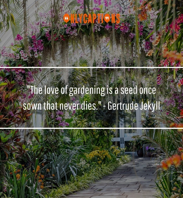 Botanic Garden Quotes 2 1-OnlyCaptions