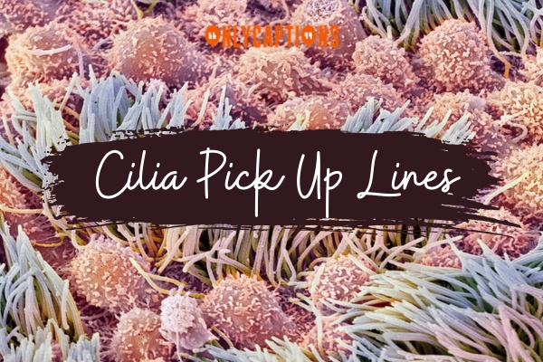 Cilia Pick Up Lines 1-OnlyCaptions