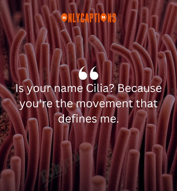 Cilia Pick Up Lines 3-OnlyCaptions