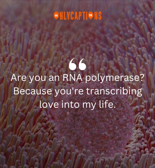 Cilia Pick Up Lines-OnlyCaptions