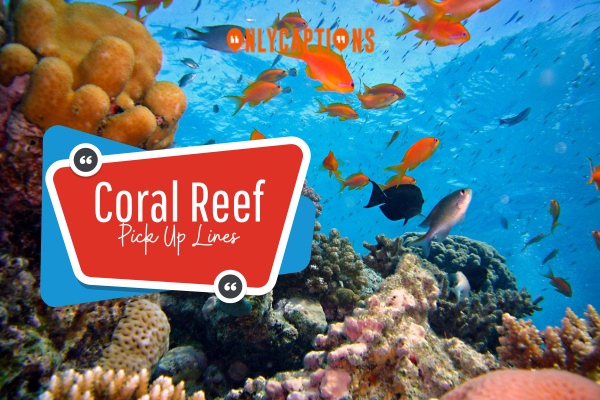 Coral Reef Pick Up Lines 1-OnlyCaptions