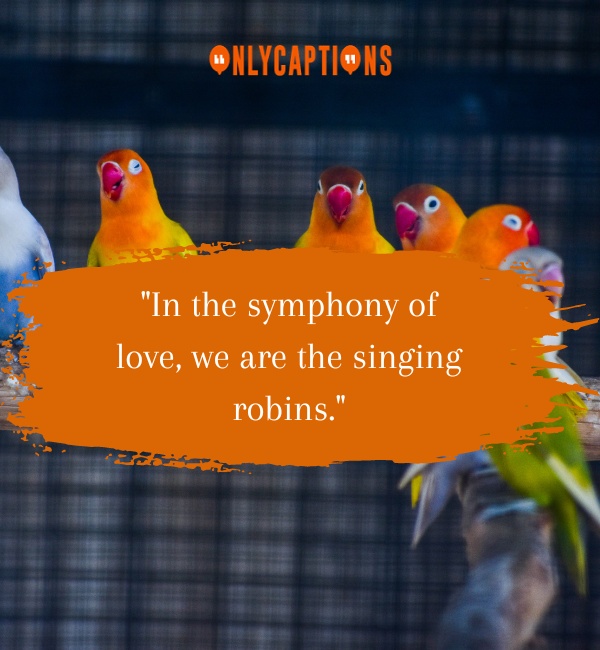 Love Quotes With Birds 2-OnlyCaptions