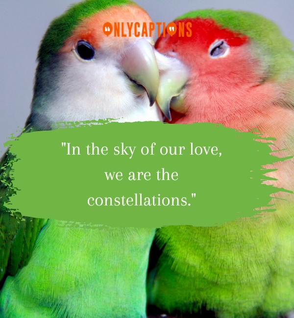 Love Quotes With Birds-OnlyCaptions