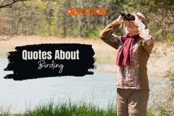 Quotes About Birding (2024)