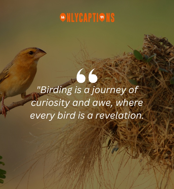 Quotes About Birding 2-OnlyCaptions