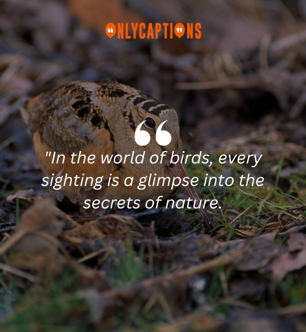 Quotes About Birding 3-OnlyCaptions