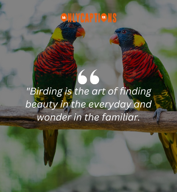 Quotes About Birding-OnlyCaptions