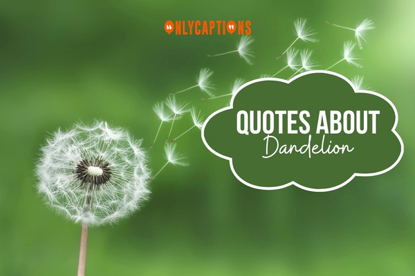 Quotes About Dandelion 1-OnlyCaptions