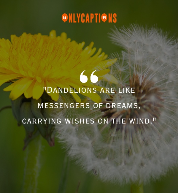 Quotes About Dandelion 3-OnlyCaptions