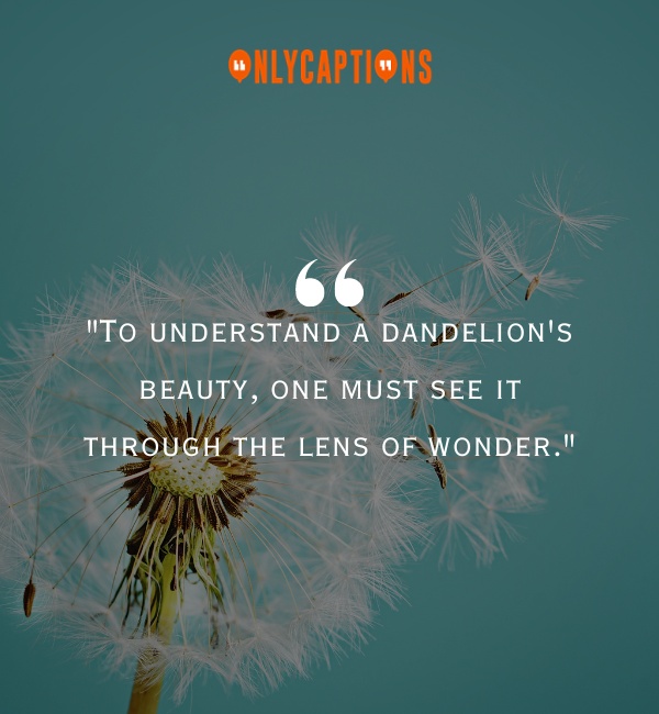 Quotes About Dandelion-OnlyCaptions