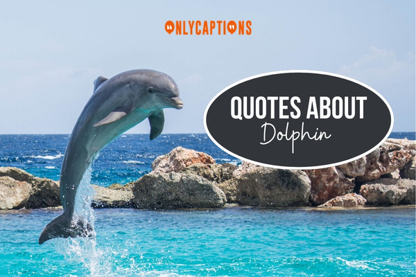 Quotes About Dolphin-OnlyCaptions