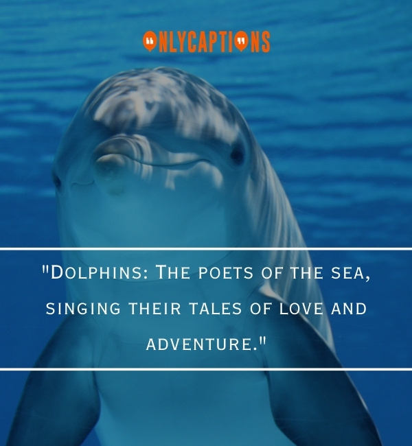 Quotes About Dolphin 2-OnlyCaptions