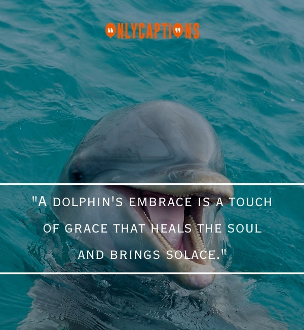 Quotes About Dolphin 3-OnlyCaptions