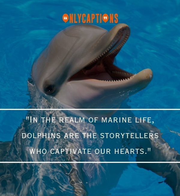 Quotes About Dolphin-OnlyCaptions