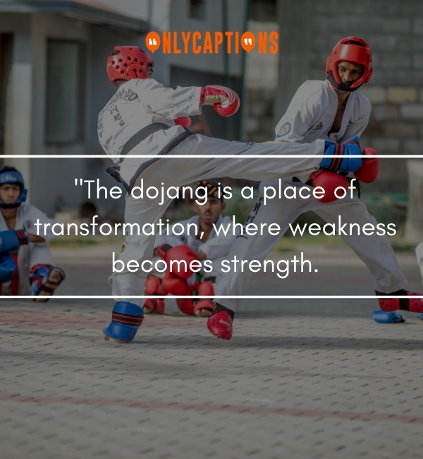 Quotes About Taekwondo-OnlyCaptions