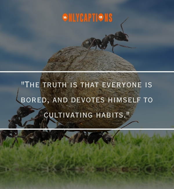 Quotes About The Myth of Sisyphus 2-OnlyCaptions